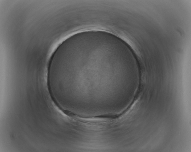 X0000113181508200909181842