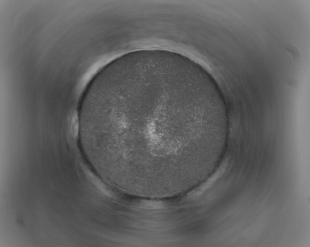 X0000113181509200909181842