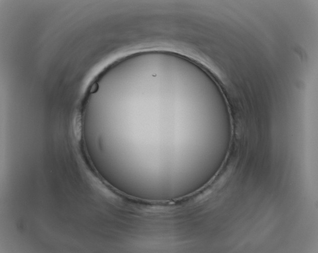 X0000113181510200909181842