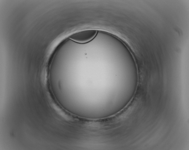 X0000113181511200909181842