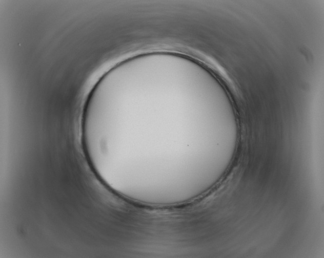 X0000113181512200909181842