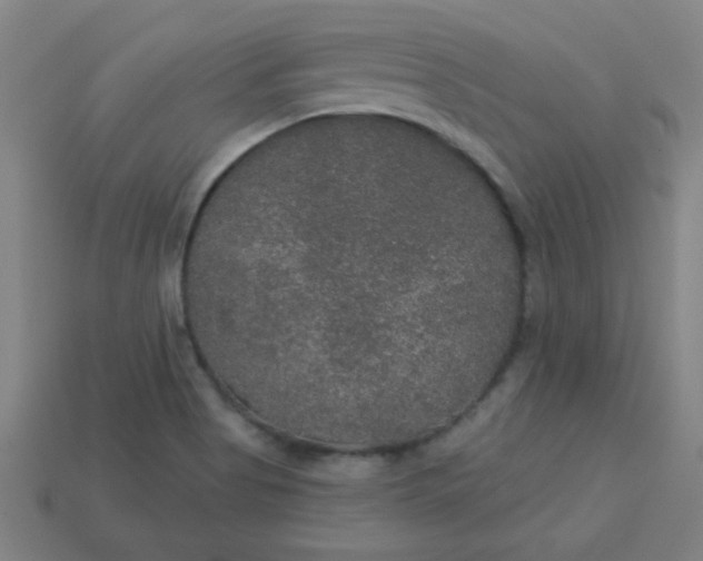 X0000113181513200909181842