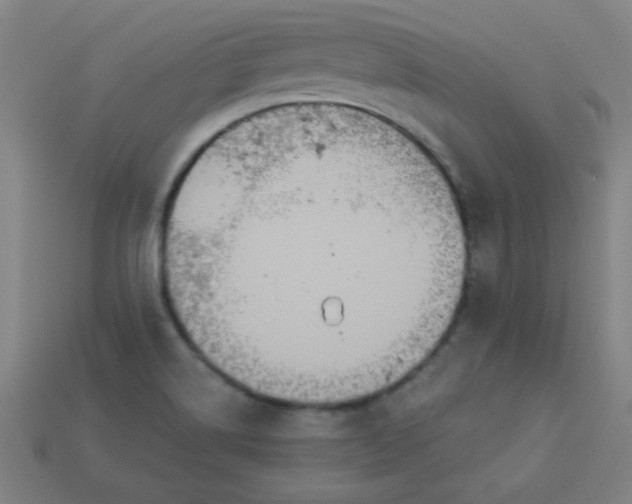 X0000113181514200909181842