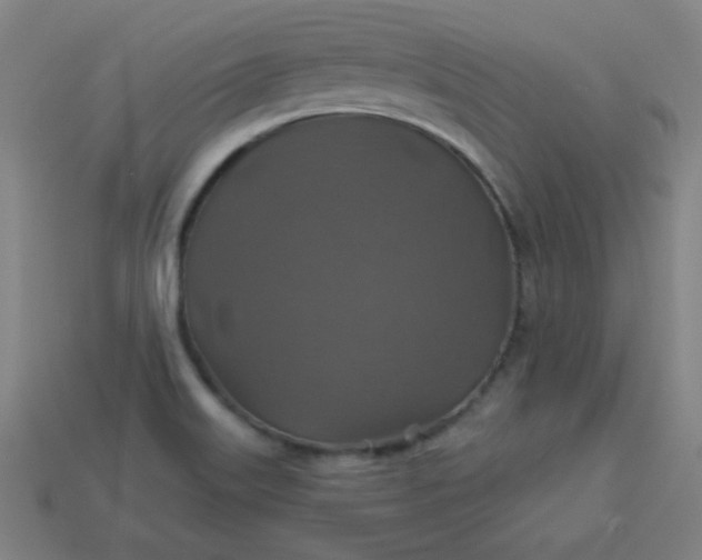 X0000113181515200909181842