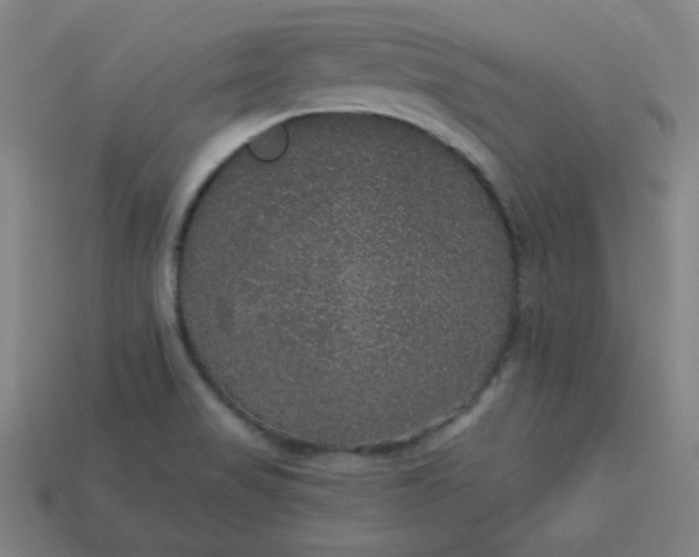 X0000113181517200909181842