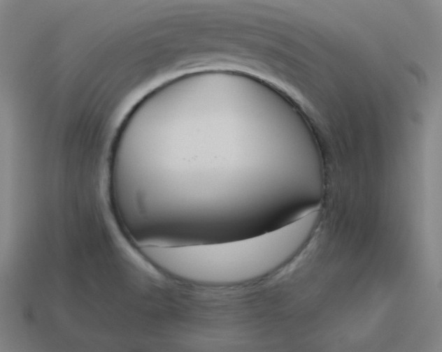 X0000113181518200909181842