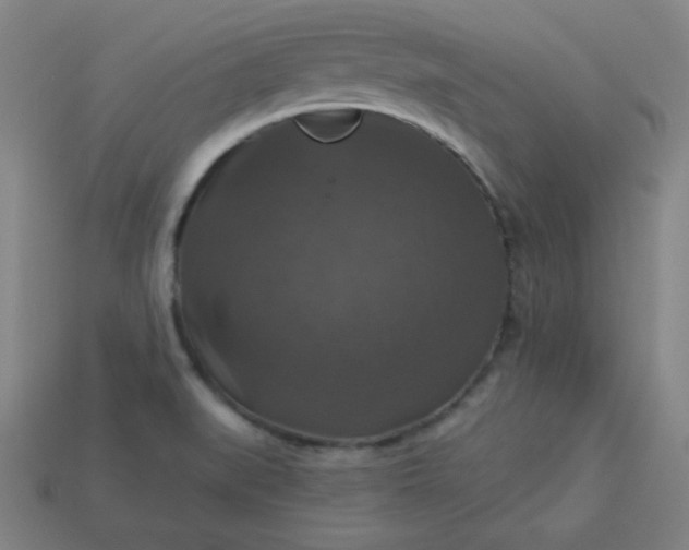 X0000113181519200909181842