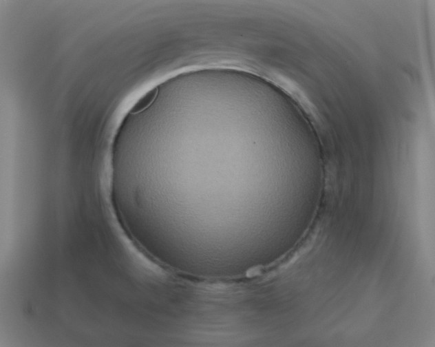 X0000113181520200909181842