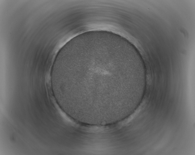 X0000113181521200909181842