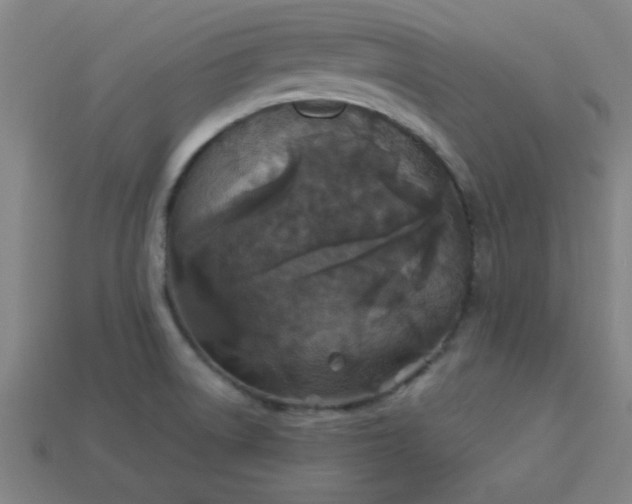 X0000113181522200909181842