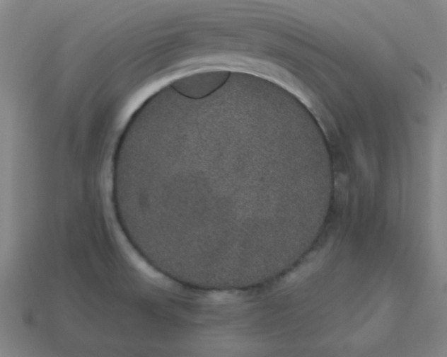 X0000113181523200909181842