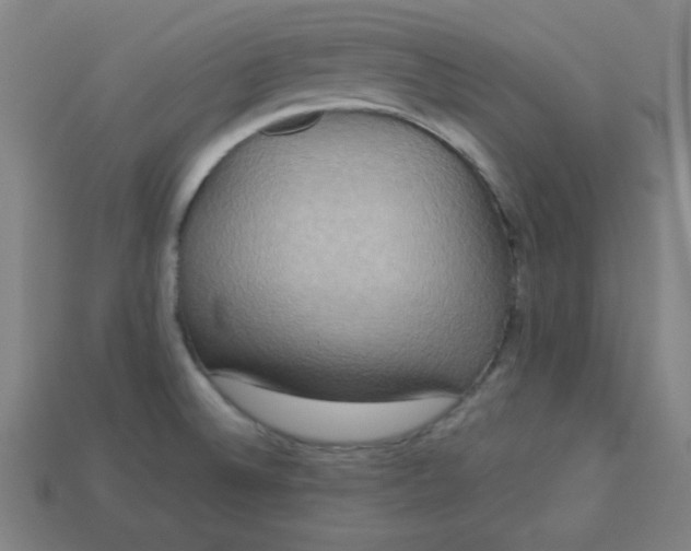 X0000113181524200909181842