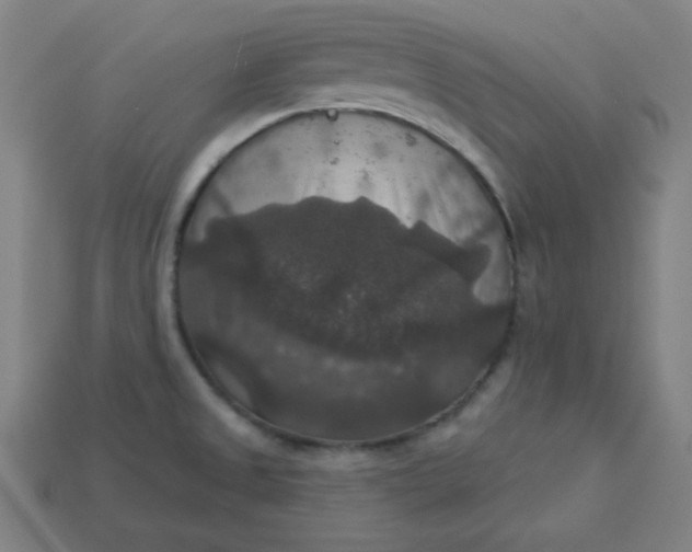 X0000113181525200909181842