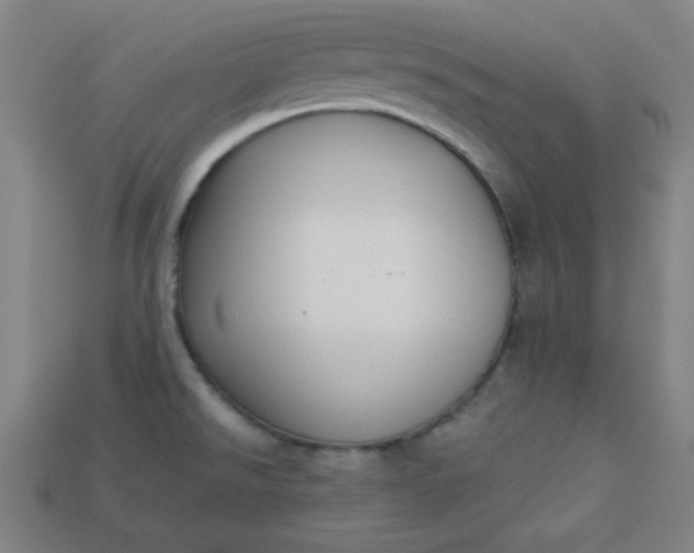 X0000113181526200909181842