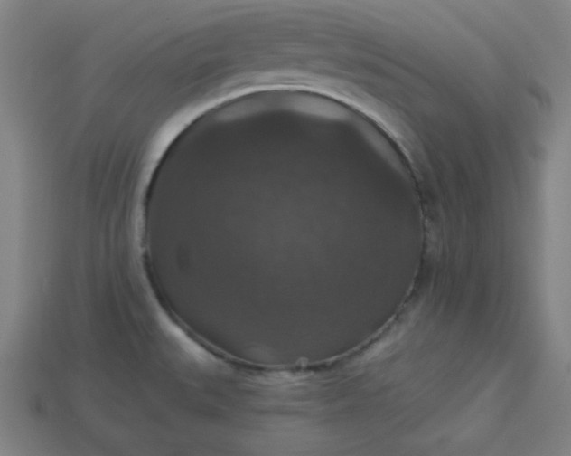 X0000113181527200909181842