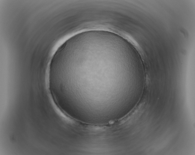 X0000113181528200909181842