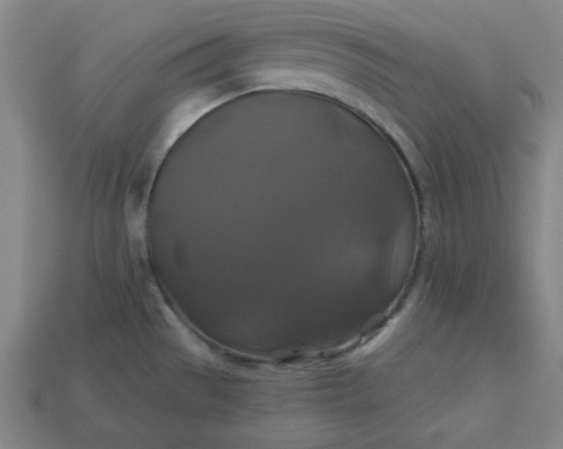 X0000113181529200909181842