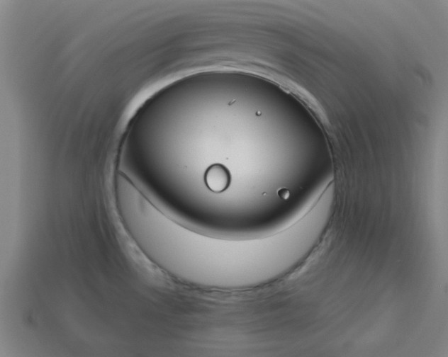 X0000113181530200909181842