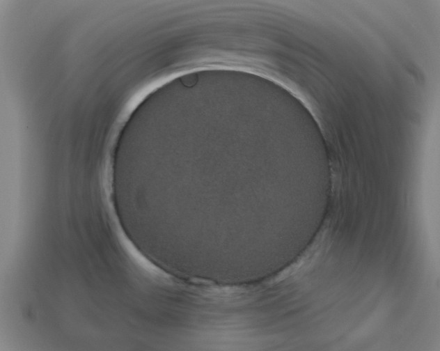 X0000113181531200909181843