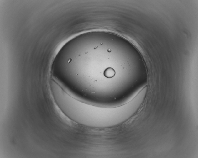 X0000113181532200909181843