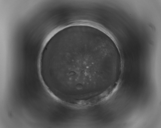 X0000113181533200909181843