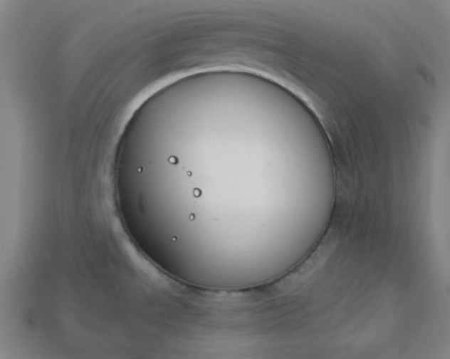 X0000113181534200909181843