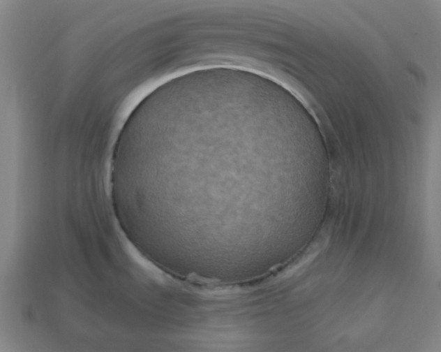 X0000113181535200909181843