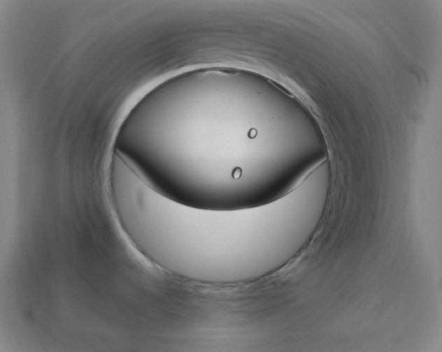 X0000113181536200909181843