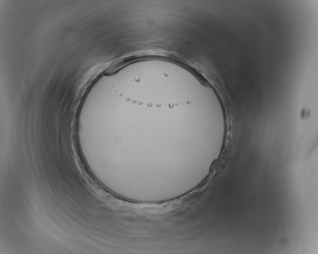 X0000113180001200909251453