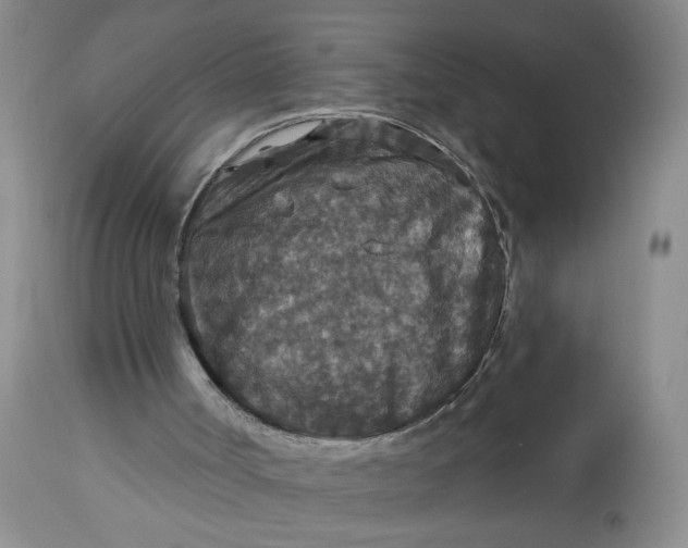 X0000113180002200909251453