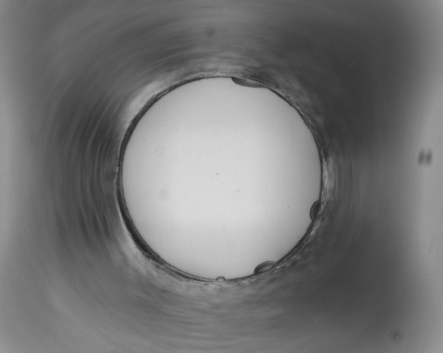 X0000113180003200909251453