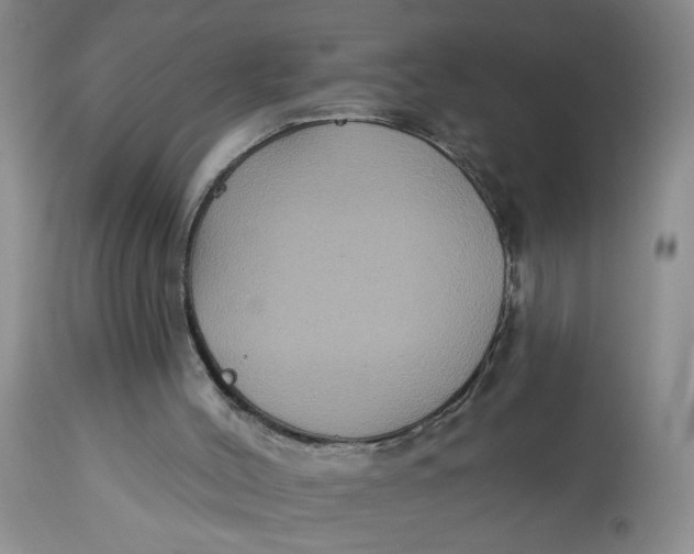 X0000113180004200909251453