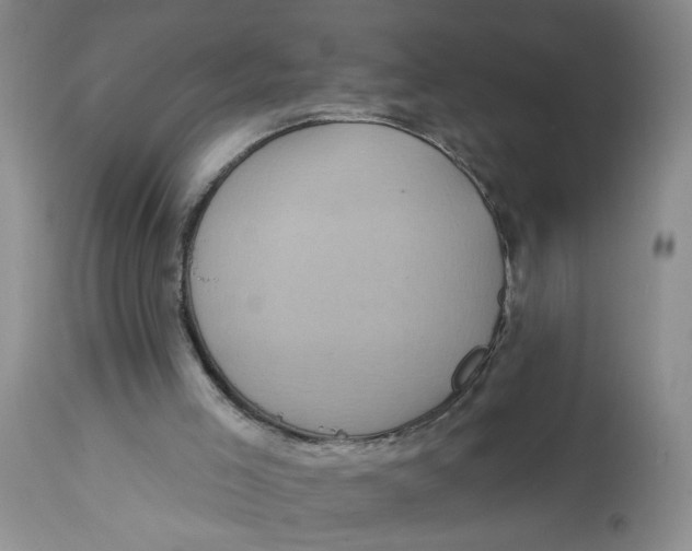 X0000113180005200909251453