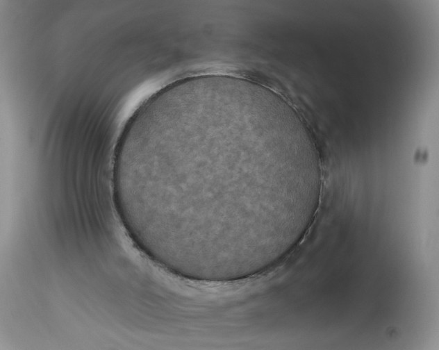 X0000113180006200909251453