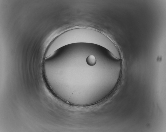 X0000113180007200909251453