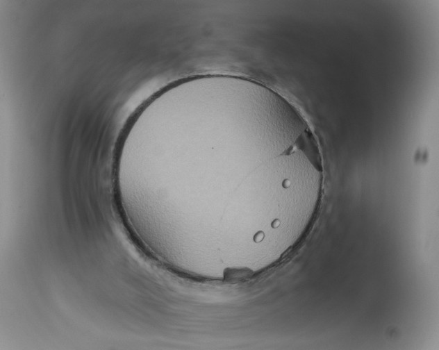 X0000113180008200909251453