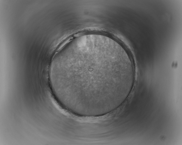 X0000113180009200909251453