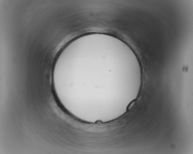 X0000113180011200909251453