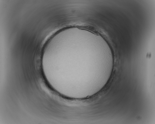 X0000113180012200909251453