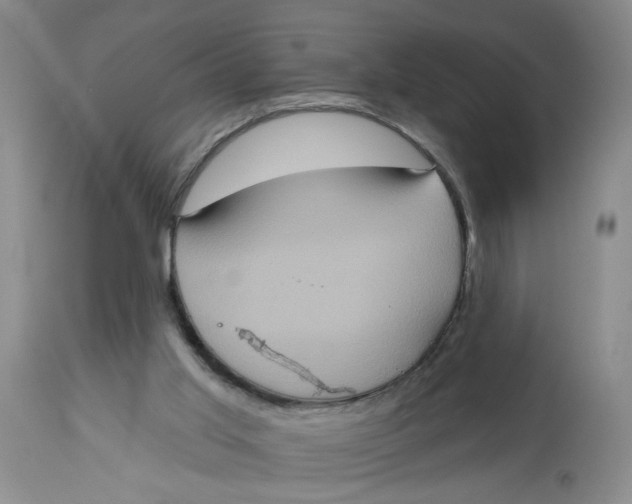 X0000113180013200909251453