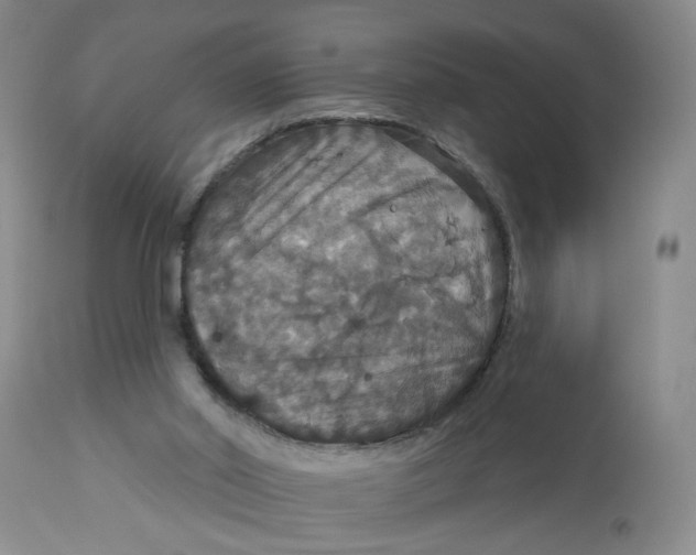 X0000113180014200909251453