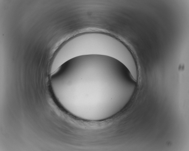 X0000113180015200909251453