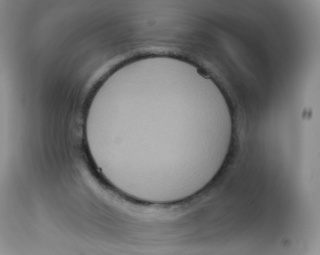 X0000113180016200909251453