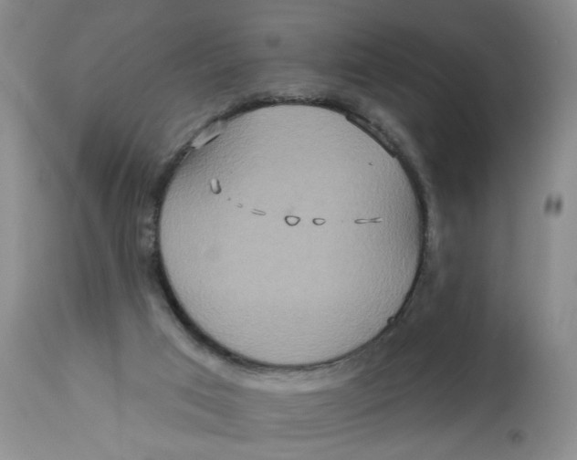 X0000113180017200909251453