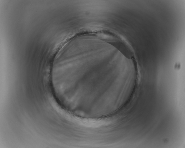 X0000113180018200909251453
