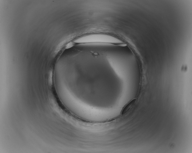 X0000113180019200909251453