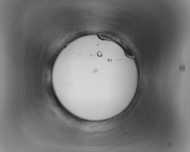 X0000113180021200909251453