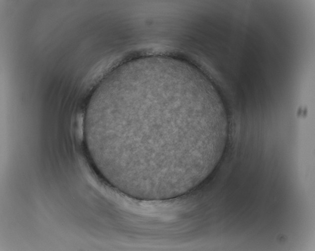 X0000113180022200909251453