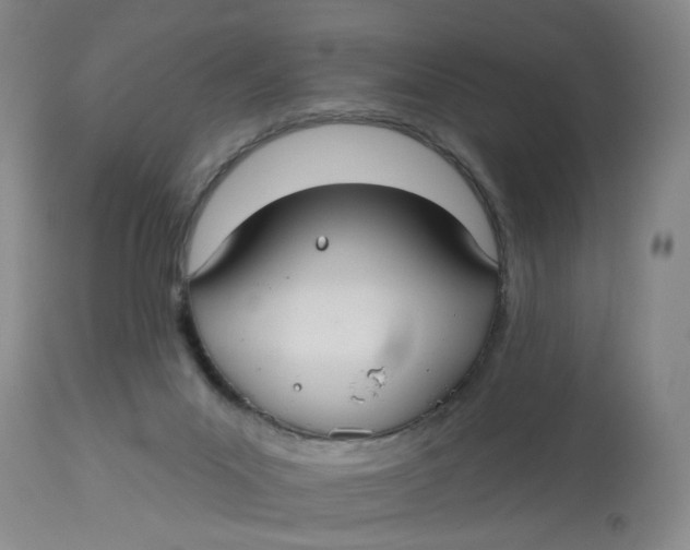 X0000113180023200909251453