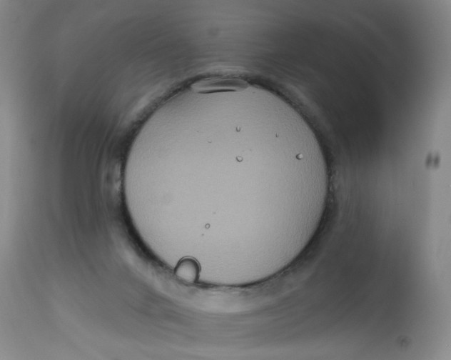 X0000113180024200909251453
